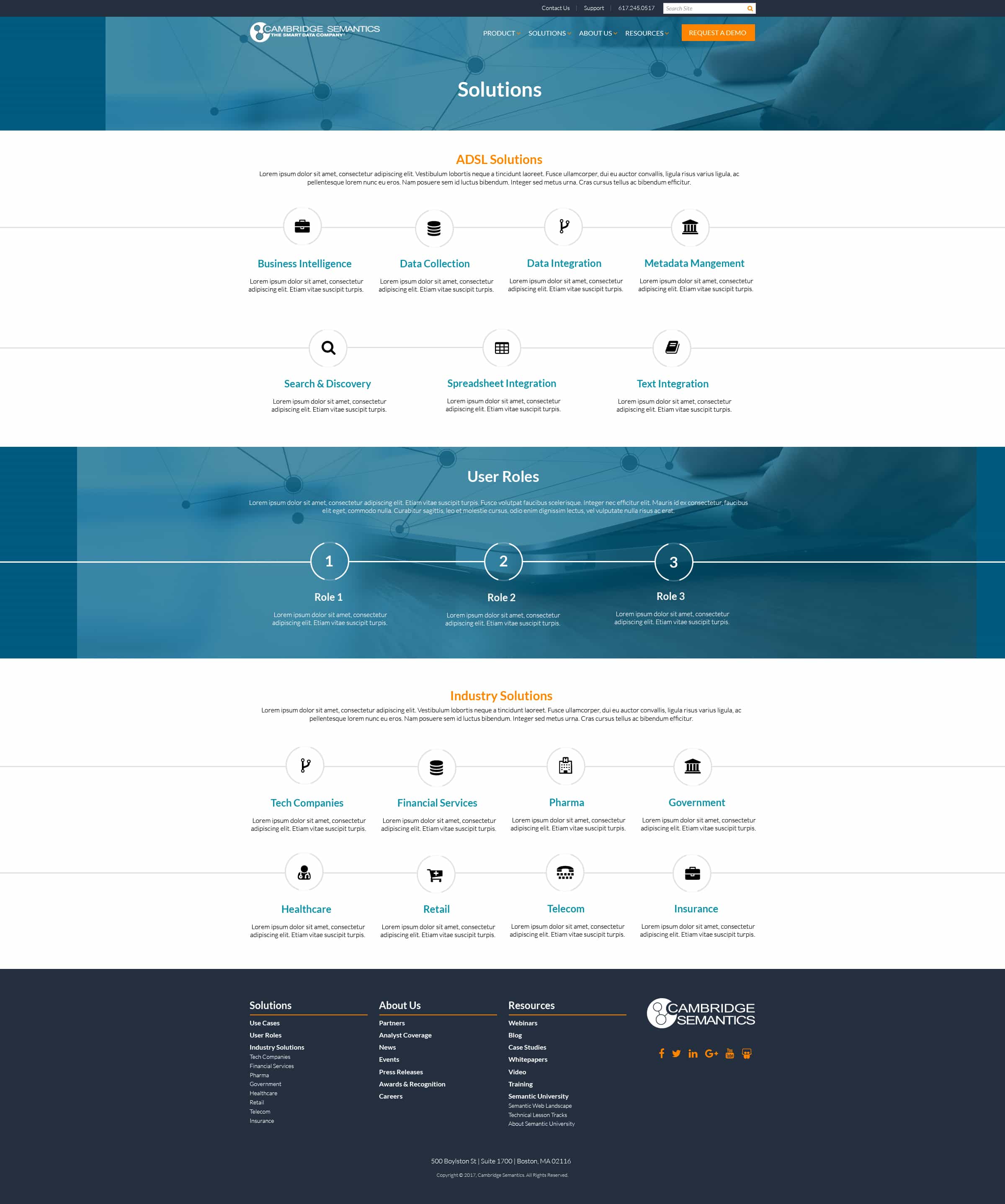 Cambridge Semantics Solutions