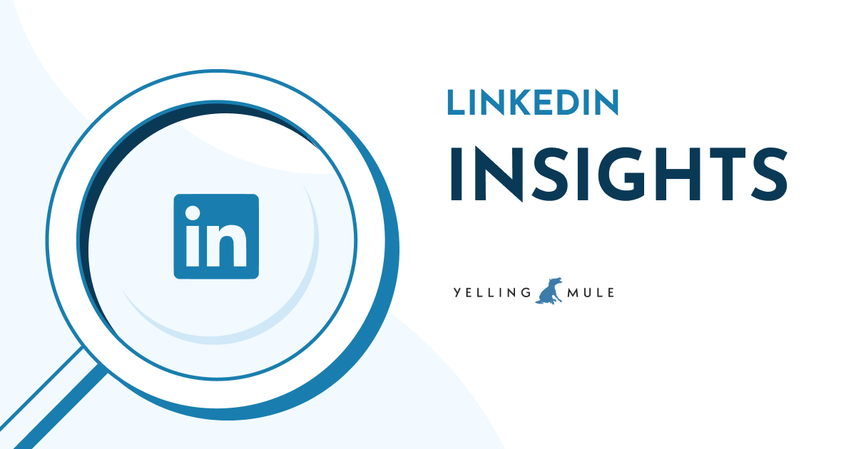 Your Guide to LinkedIn Analytics | Yelling Mule